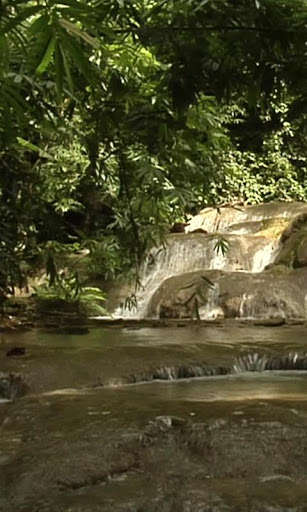 Emulate Android APK Magic cool brook