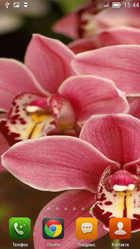 Emulate Android APK Magic Flower Wallpapers with Effects Emulate Android APK Magic Flower Wallpapers with Effects