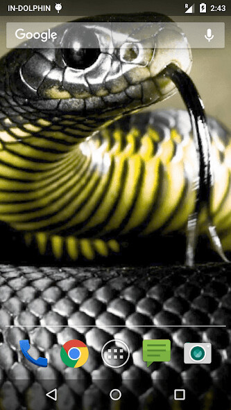 Run android online APK Magic Touch Cobra Attack from MyAndroid or emulate Magic Touch Cobra Attack using MyAndroid