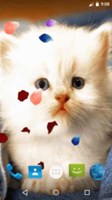 Emulate Android APK Magic Touch - Cute Cat Emulate Android APK Magic Touch - Cute Cat
