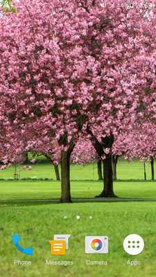 Emulate Android APK Magic Touch: The Sakura Garden Emulate Android APK Magic Touch: The Sakura Garden