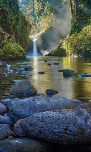 Run android online APK Magic waterfall in the distanc from MyAndroid or emulate Magic waterfall in the distanc using MyAndroid