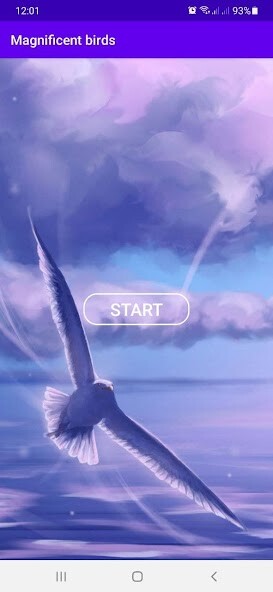 Run android online APK Magnificent birds from MyAndroid or emulate Magnificent birds using MyAndroid Run android online APK Magnificent birds from MyAndroid or emulate Magnificent birds using MyAndroid