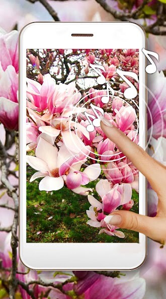 Emulate Android APK magnolia live wallpaper
