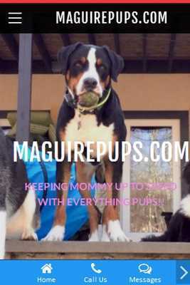 Emulate Android APK maguirepups.com Emulate Android APK maguirepups.com