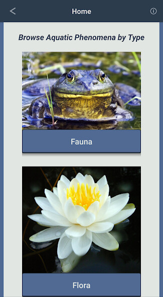 Run android online APK Maine Field Guide to Aquatic Phenomena from MyAndroid or emulate Maine Field Guide to Aquatic Phenomena using MyAndroid Run android online APK Maine Field Guide to Aquatic Phenomena from MyAndroid or emulate Maine Field Guide to Aquatic Phenomena using MyAndroid