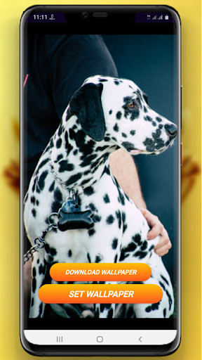 Run android online APK Mama Wallpaper from MyAndroid or emulate Mama Wallpaper using MyAndroid