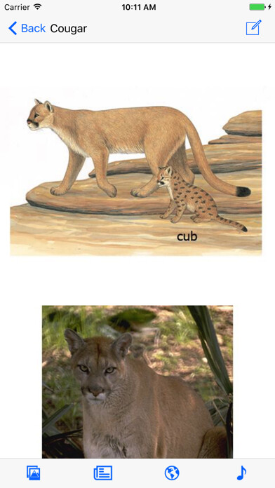 Emulate iPhone app Mammals of North America LITE using MyAndroid Emulate iPhone app Mammals of North America LITE using MyAndroid