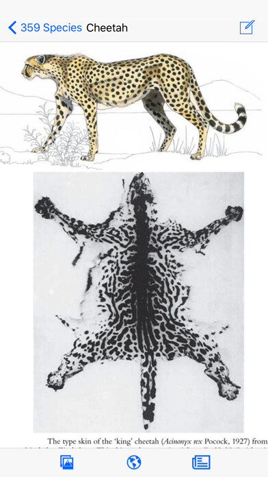 Emulate iPhone app Mammals of the Southern African Subregion using MyAndroid Emulate iPhone app Mammals of the Southern African Subregion using MyAndroid