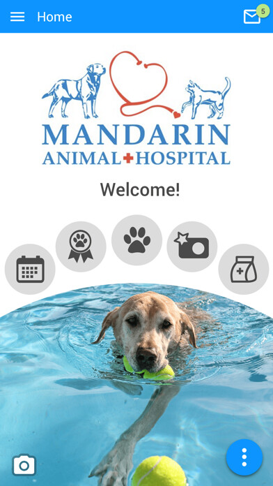 Emulate iPhone app Mandarin Vet using MyAndroid