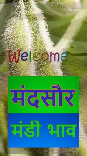 Run android online APK Mandsour Mandi Bhav from MyAndroid or emulate Mandsour Mandi Bhav using MyAndroid