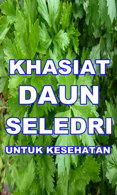 Emulate Android APK MANFAAT DAUN SELEDRI LENGKAP Emulate Android APK MANFAAT DAUN SELEDRI LENGKAP
