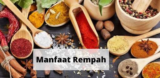 Run android online APK Manfaat Rempah Alami from MyAndroid or emulate Manfaat Rempah Alami using MyAndroid