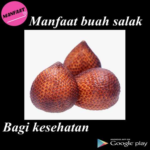Run android online APK Manfaat Salak from MyAndroid or emulate Manfaat Salak using MyAndroid