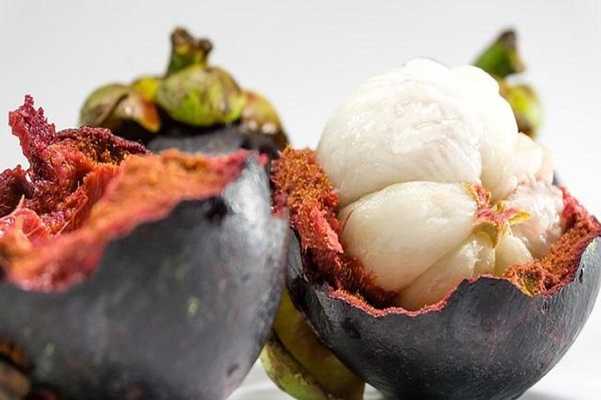 Emulate Android APK Mangosteen For Health Emulate Android APK Mangosteen For Health