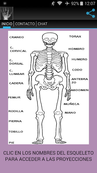 Run android online APK MANUAL RADIOLOGIA 3 from MyAndroid or emulate MANUAL RADIOLOGIA 3 using MyAndroid Run android online APK MANUAL RADIOLOGIA 3 from MyAndroid or emulate MANUAL RADIOLOGIA 3 using MyAndroid