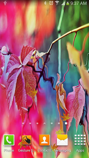 Run android online APK Maple Leaf Live Wallpaper from MyAndroid or emulate Maple Leaf Live Wallpaper using MyAndroid Run android online APK Maple Leaf Live Wallpaper from MyAndroid or emulate Maple Leaf Live Wallpaper using MyAndroid