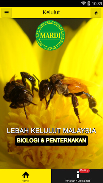 Emulate Android APK MARDI Kelulut Emulate Android APK MARDI Kelulut