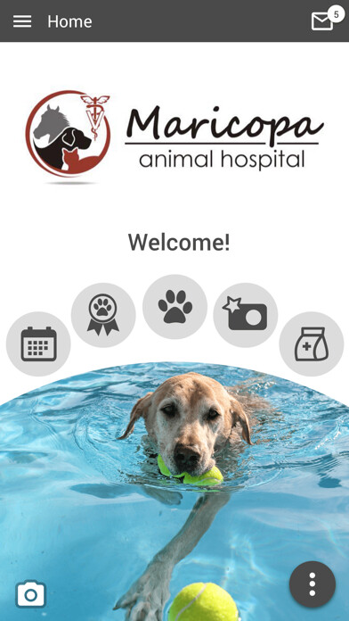 Emulate iPhone app Maricopa AH using MyAndroid