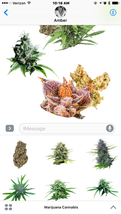 Emulate iPhone app Marijuana Cannabis using MyAndroid