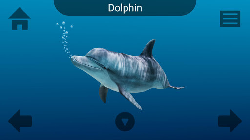 Run android online APK Marine Life from MyAndroid or emulate Marine Life using MyAndroid Run android online APK Marine Life from MyAndroid or emulate Marine Life using MyAndroid