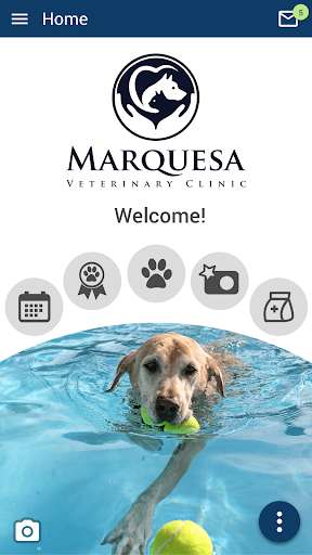 Run android online APK Marquesa Vet Clinic from MyAndroid or emulate Marquesa Vet Clinic using MyAndroid Run android online APK Marquesa Vet Clinic from MyAndroid or emulate Marquesa Vet Clinic using MyAndroid