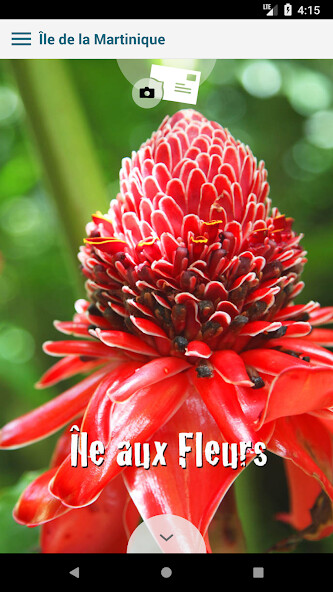 Run android online APK Martinique tour by bois lélé from MyAndroid or emulate Martinique tour by bois lélé using MyAndroid