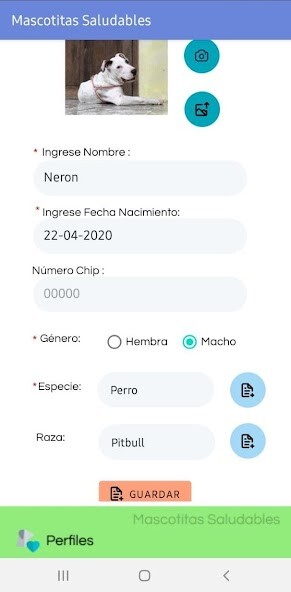 Run android online APK Mascotitas Saludables from MyAndroid or emulate Mascotitas Saludables using MyAndroid Run android online APK Mascotitas Saludables from MyAndroid or emulate Mascotitas Saludables using MyAndroid