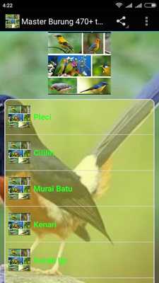 Emulate Android APK Masteran burung 470+ terbaik Emulate Android APK Masteran burung 470+ terbaik