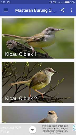 Run android online APK Masteran Burung Ciblek from MyAndroid or emulate Masteran Burung Ciblek using MyAndroid