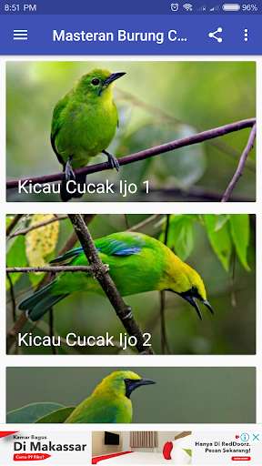 Run android online APK Masteran Burung Cucak Ijo from MyAndroid or emulate Masteran Burung Cucak Ijo using MyAndroid Run android online APK Masteran Burung Cucak Ijo from MyAndroid or emulate Masteran Burung Cucak Ijo using MyAndroid