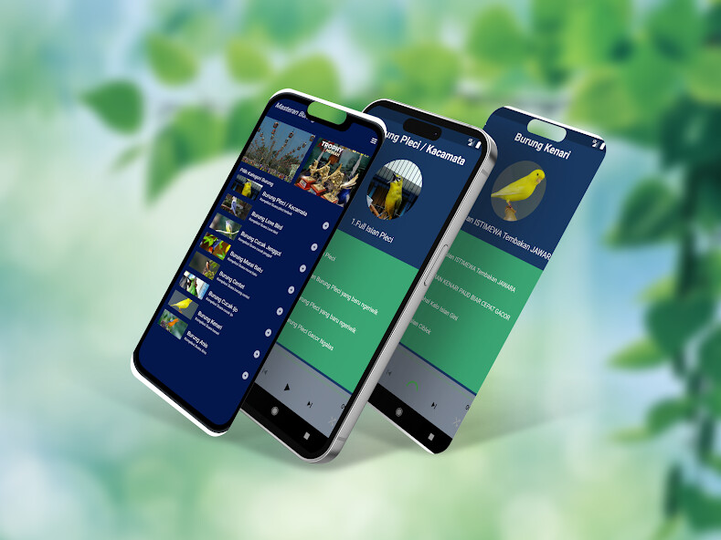 Run android online APK Masteran Burung Jagoan Offline from MyAndroid or emulate Masteran Burung Jagoan Offline using MyAndroid Run android online APK Masteran Burung Jagoan Offline from MyAndroid or emulate Masteran Burung Jagoan Offline using MyAndroid