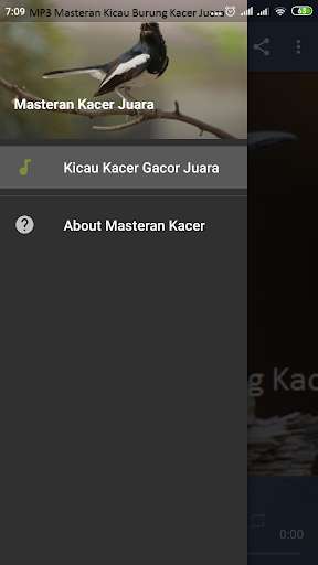 Run android online APK Masteran Burung Kacer Juara from MyAndroid or emulate Masteran Burung Kacer Juara using MyAndroid