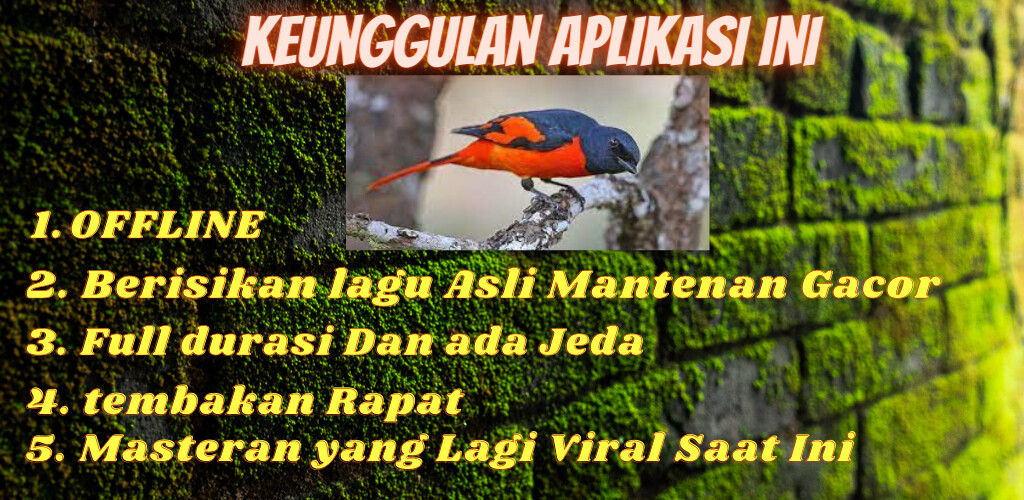 Run android online APK Masteran Burung Mantenan MP3 O from MyAndroid or emulate Masteran Burung Mantenan MP3 O using MyAndroid Run android online APK Masteran Burung Mantenan MP3 O from MyAndroid or emulate Masteran Burung Mantenan MP3 O using MyAndroid