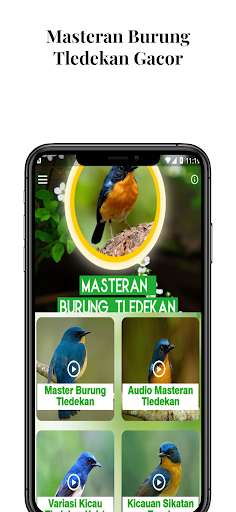Run android online APK Masteran Burung Tledekan Gacor from MyAndroid or emulate Masteran Burung Tledekan Gacor using MyAndroid Run android online APK Masteran Burung Tledekan Gacor from MyAndroid or emulate Masteran Burung Tledekan Gacor using MyAndroid