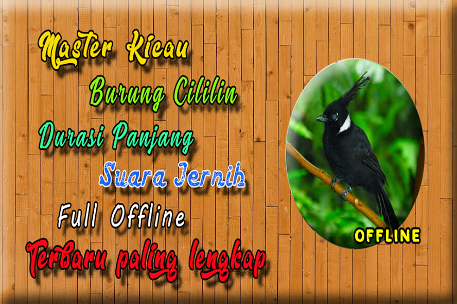 Run android online APK Masteran Cililin Durasi Panjang MP3 from MyAndroid or emulate Masteran Cililin Durasi Panjang MP3 using MyAndroid Run android online APK Masteran Cililin Durasi Panjang MP3 from MyAndroid or emulate Masteran Cililin Durasi Panjang MP3 using MyAndroid