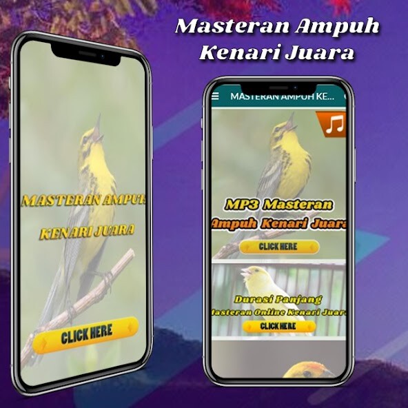 Run android online APK Masteran Kenari Juara from MyAndroid or emulate Masteran Kenari Juara using MyAndroid Run android online APK Masteran Kenari Juara from MyAndroid or emulate Masteran Kenari Juara using MyAndroid