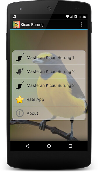Run android online APK Masteran Kicau Burung from MyAndroid or emulate Masteran Kicau Burung using MyAndroid