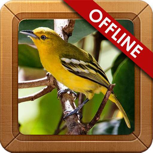 Run android online APK Masteran Kicau Cipoh Sirtu from MyAndroid or emulate Masteran Kicau Cipoh Sirtu using MyAndroid