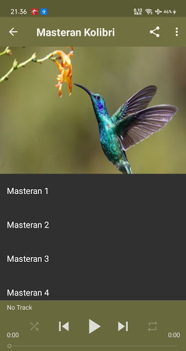 Run android online APK Masteran Kolibri Offline from MyAndroid or emulate Masteran Kolibri Offline using MyAndroid Run android online APK Masteran Kolibri Offline from MyAndroid or emulate Masteran Kolibri Offline using MyAndroid