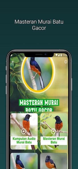 Run android online APK Masteran Murai Batu Gacor from MyAndroid or emulate Masteran Murai Batu Gacor using MyAndroid Run android online APK Masteran Murai Batu Gacor from MyAndroid or emulate Masteran Murai Batu Gacor using MyAndroid