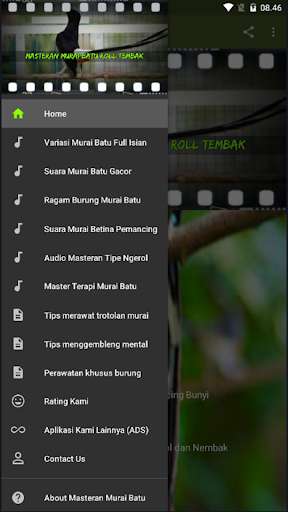 Run android online APK Masteran Murai Batu Ngerol from MyAndroid or emulate Masteran Murai Batu Ngerol using MyAndroid