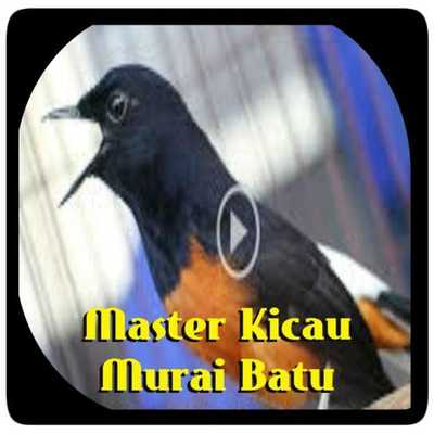 Emulate Android APK Masteran Murai Batu Roll Speed