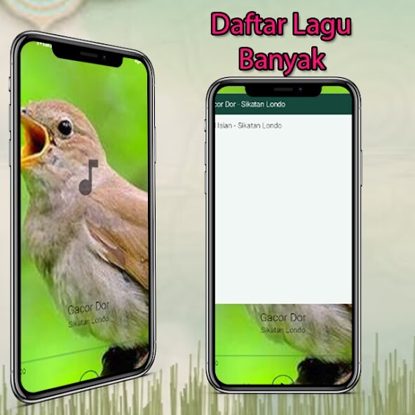 Run android online APK Masteran Sikatan Londo Gacor from MyAndroid or emulate Masteran Sikatan Londo Gacor using MyAndroid
