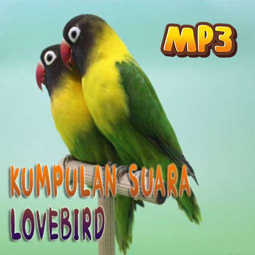 Run android online APK Masteran Suara Burung Lovebird from MyAndroid or emulate Masteran Suara Burung Lovebird using MyAndroid
