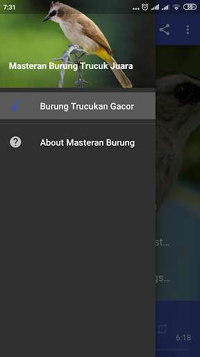 Run android online APK Masteran Suara Burung Trucukan Gacor MP3 Offline from MyAndroid or emulate Masteran Suara Burung Trucukan Gacor MP3 Offline using MyAndroid Run android online APK Masteran Suara Burung Trucukan Gacor MP3 Offline from MyAndroid or emulate Masteran Suara Burung Trucukan Gacor MP3 Offline using MyAndroid