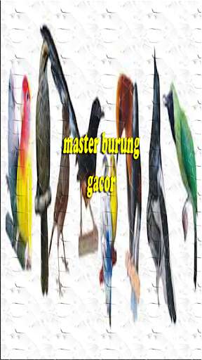Run android online APK master burung gacor from MyAndroid or emulate master burung gacor using MyAndroid Run android online APK master burung gacor from MyAndroid or emulate master burung gacor using MyAndroid