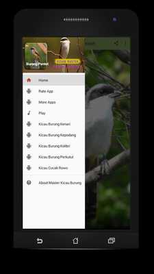 Emulate Android APK Master Kicau Burung Pentet