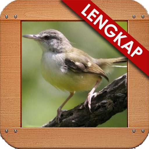 Run android online APK Master Kicau Ciblek Lengkap from MyAndroid or emulate Master Kicau Ciblek Lengkap using MyAndroid Run android online APK Master Kicau Ciblek Lengkap from MyAndroid or emulate Master Kicau Ciblek Lengkap using MyAndroid