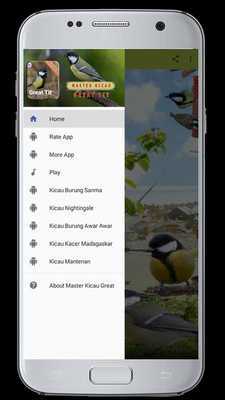 Emulate Android APK Master Kicau GreatTit Emulate Android APK Master Kicau GreatTit